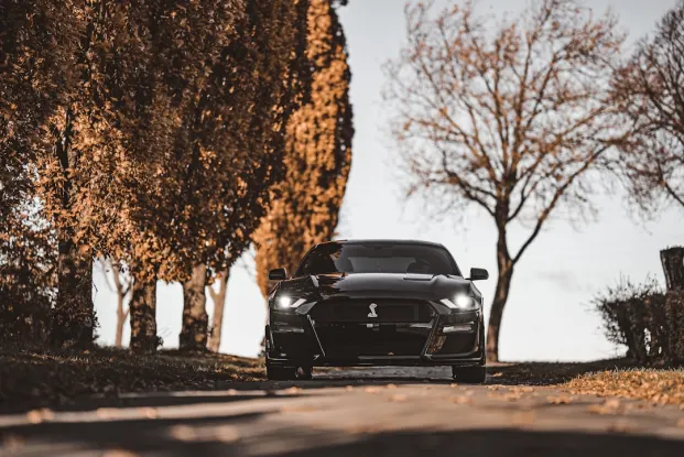 HippoZino Casino Application Android/iOS